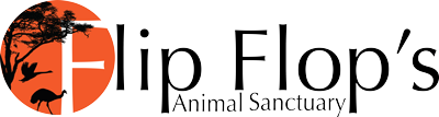 FlipFlop's Animal Sanctuary Logo